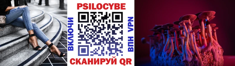 Псилоцибиновые грибы GOLDEN TEACHER Строитель