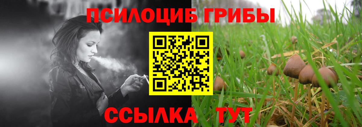 Псилоцибиновые грибы ЛСД Строитель